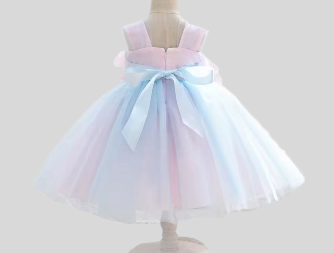 Blue & pink flowers dress