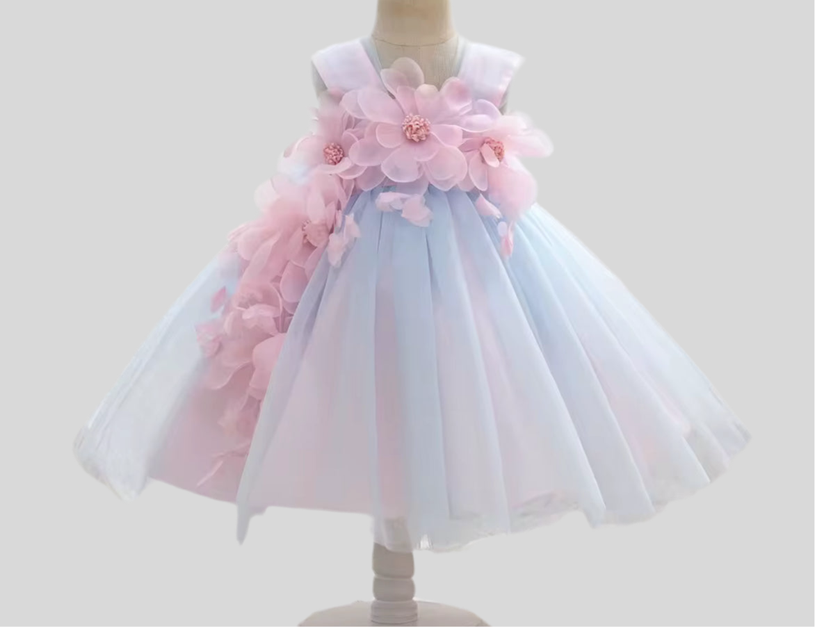 Blue & pink flowers dress